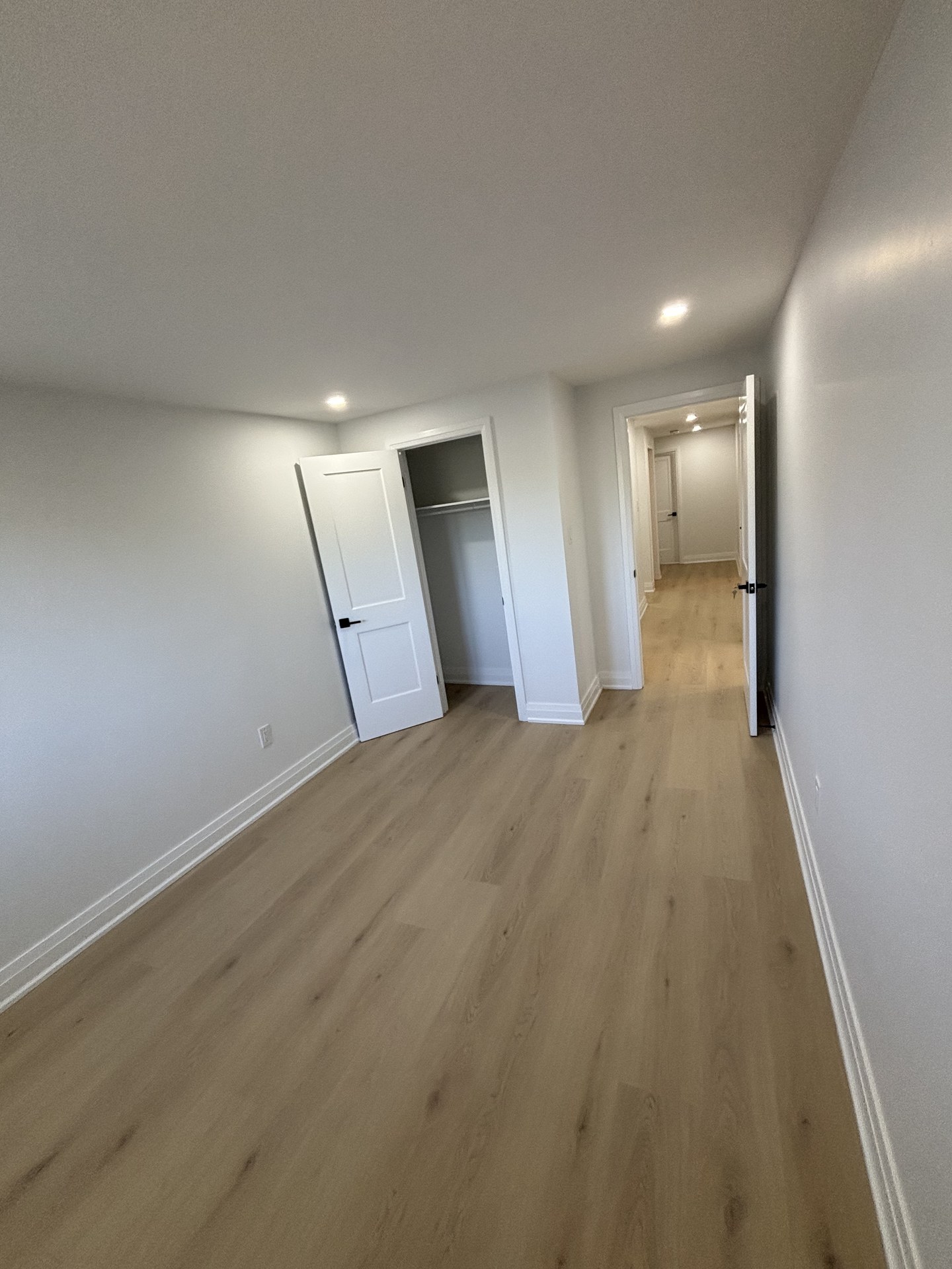 High-end basement entertainment area and built-in features